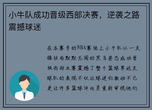 小牛队成功晋级西部决赛，逆袭之路震撼球迷
