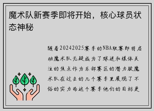 魔术队新赛季即将开始，核心球员状态神秘